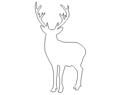 Hirsch - Deer