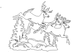 Hirschrudel - Deers