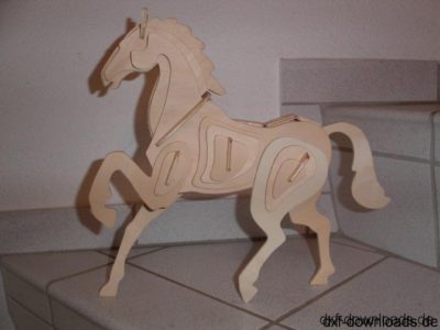 Pferd 3D Modell - Horse 3D Model
