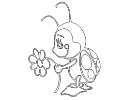 Käfer - Beetle