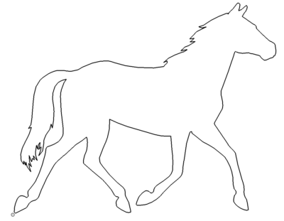 Pferd - Horse