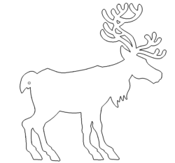 Renntier - Reindeer