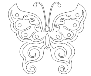 Schmetterling - Butterfly