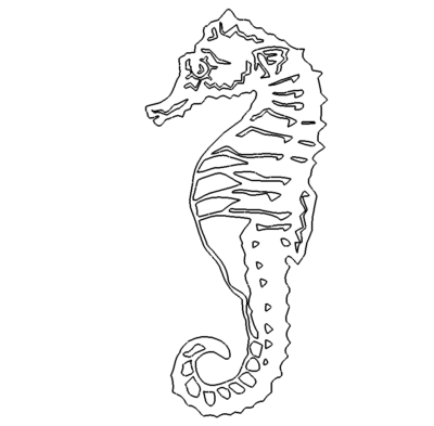 Seepferdchen - sea horse