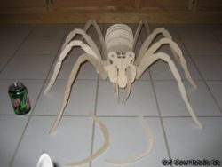 Spinne 3D Modell - Spider 3D model