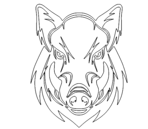 Wildschwein - Wild Boar